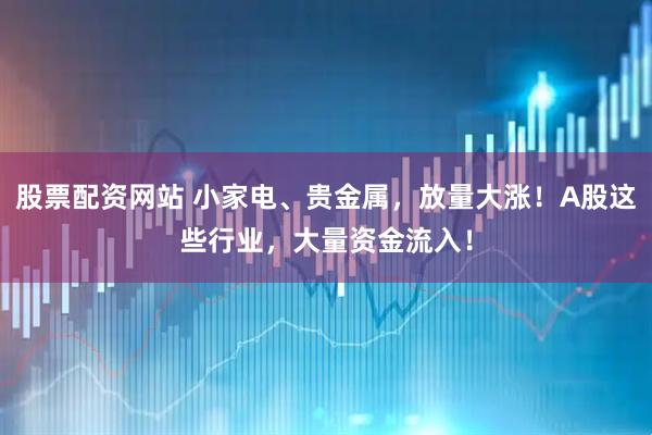 股票配资网站 小家电、贵金属，放量大涨！A股这些行业，大量资金流入！